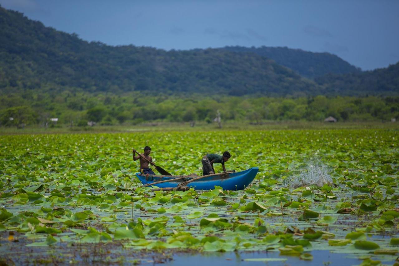 Grand Tamarind Lake Kataragama Luaran gambar