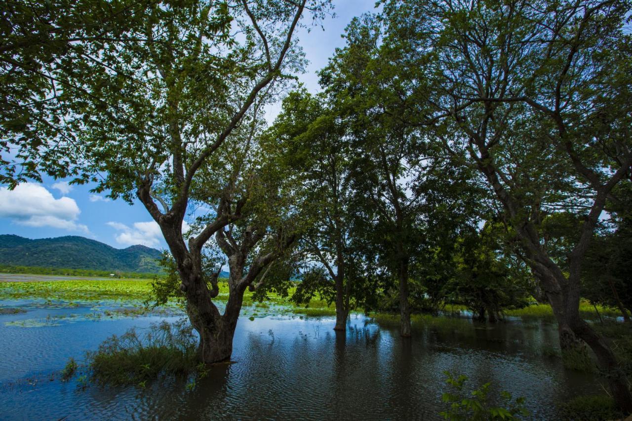 Grand Tamarind Lake Kataragama Luaran gambar